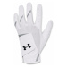 Under Armour Iso-Chill Golf Glove Youth LH White/Metallic Silver