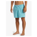 Men's shorts swimwear Quiksilver EVERYDAY VERT VOLLEY