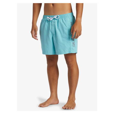 Men's shorts swimwear Quiksilver EVERYDAY VERT VOLLEY