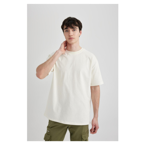 DEFACTO Boxy Fit Crew Neck Short Sleeve T-Shirt