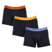 3PACK Men's Boxers Levis Multicolor