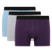 DEFACTO Regular Fit 3-Piece Boxer