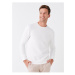 LC Waikiki Crew Neck Long Sleeve Men's Sweatshirt