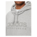 Adidas Mikina All Szn Fleece Graphic IW1205 Sivá Loose Fit