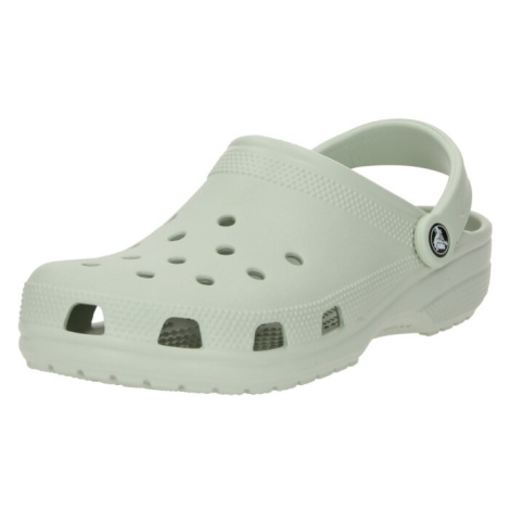 Crocs Dreváky 'Classic'  svetlozelená