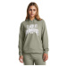 Women's sweatshirt Under Armour Rival Terry Graphic Hdy