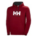 Helly Hansen Logo Hoodie 33977-215