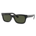 Ray-Ban Mr Burbank RB2283 901/31 52