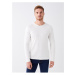 LC Waikiki Crew Neck Long Sleeve Men's T-Shirt