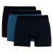 DEFACTO Regular Fit 3-pack Boxer