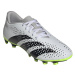 Topánky adidas Predator Accuracy.4 FxG M GZ0013