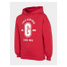 Girls' cotton sweatshirt 4F