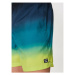 Billabong Plavecké šortky All Day EBYJV00121 Farebná Regular Fit