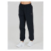 Athlecia Teplákové nohavice Hero W Track Pants EA233336 Čierna Regular Fit