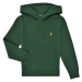 Polo Ralph Lauren  LS PO HOOD-TOPS-KNIT  Mikiny Zelená