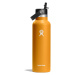 Hydro Flask 21 Oz (621 ml) Standard Flex Straw Cap S21FS162