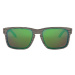 Oakley HOLBROOK WOODGRAIN Slnečné okuliare, hnedá, veľkosť