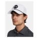 Under Armour DRIVER Cap