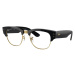 Ray-Ban Mega Clubmaster RX0316V 2000 - ONE SIZE (50)