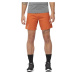 Salomon Cross 7'' Shorts M LC2049600