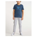 Dark blue boys T-shirt Ragwear Cheero - Boys