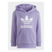 Adidas Tepláková súprava Adicolor Hoodie Set IC9170 Fialová Regular Fit