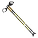 NILS Extreme NW 603 nordic walking palice