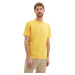 Tom Tailor Pánske tričko Regular Fit 1040821.34663 L