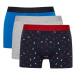 DEFACTO Regular Fit 3-Piece Boxer