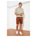 Trendyol Camel Men's Slim Fit Chino Shorts & Bermuda