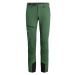 Men's Pants Salewa Agner Orval 2 DST Raw Green