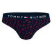 Tommy Hilfiger Underwear Nohavičky  námornícka modrá / zelená / ružová