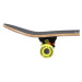 Skateboard NILS Extreme CR3108SA Brain