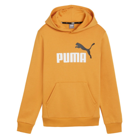 PUMA Chl. mikina s kapucňou ESS 2 Col Bi Farba: Hnedá