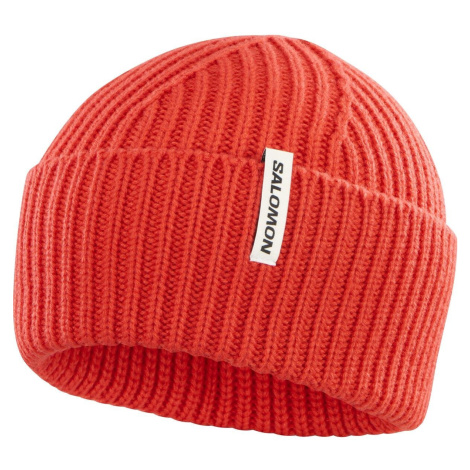 Salomon Snowbird Beanie LC2329600