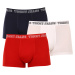 3PACK pánske boxerky Tommy Hilfiger viacfarebné (UM0UM02850 0T6)