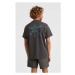 O'Neill ELSOL T-SHIRT Pánske tričko, tmavo sivá, veľkosť