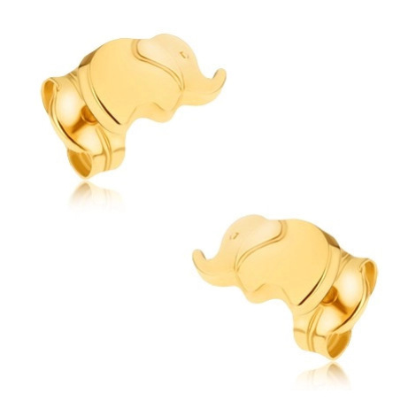 Zlaté puzetové náušnice 375 - ligotavý maličký sloník