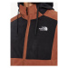 The North Face Mikina Homesafe NF0A855J Hnedá Regular Fit