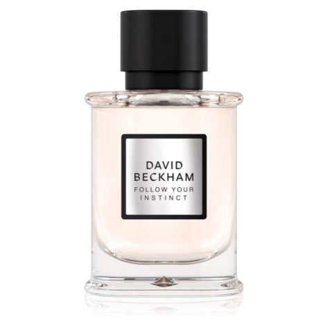 David Beckham Follow Your Instinct parfumovaná voda pre mužov
