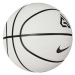 Basketbalová lopta NIKE GIANNIS PLGRD 07 PI BK BK BK