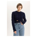 DEFACTO Crop Crew Neck Sweater