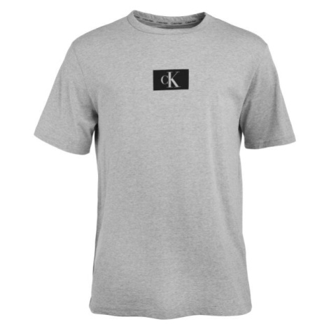 Calvin Klein ´96 GRAPHIC TEES-S/S CREW NECK Pánske tričko, sivá, veľkosť