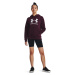 Mikina Under Armour Rival Fleece Big Logo Hdy Dark Maroon