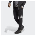 Pánske tepláky ADIDAS M BL FT PT-HA4342-Black