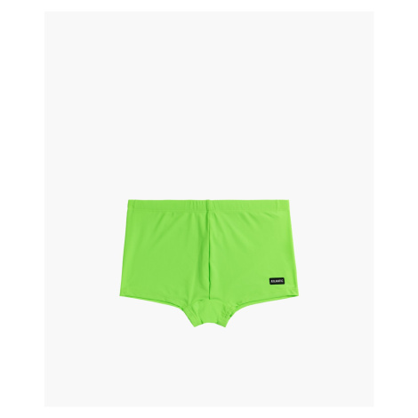 Men's Swim Shorts ATLANTIC - Green