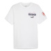 Futbalová reprezentácia pánske tričko Czech republic Ftblicons Tee white