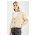 DEFACTO Regular Fit V-Neck Cardigan