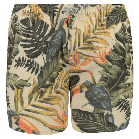 Pánske plavky Rip Curl