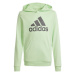 Mikina adidas Big Logo Hoodie Jr IS2591 164 cm